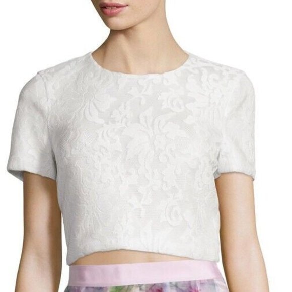 Ted Baker London Tops - NWT Ted Baker Maire White Lace Mesh Crop Top Size 0 6 Short Sleeve Zip Back